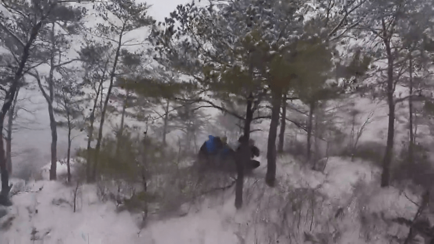 Kentucky students among trees during. winter storm.